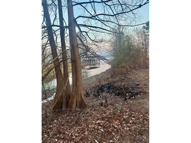 Toledo Bend Reservoir Lot For Sale in Zwolle Louisiana