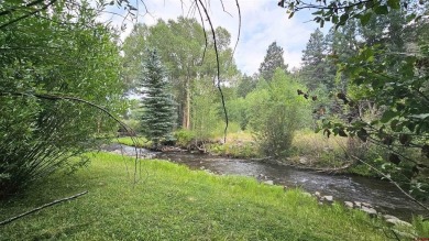 Lake Lot For Sale in Del Norte, Colorado