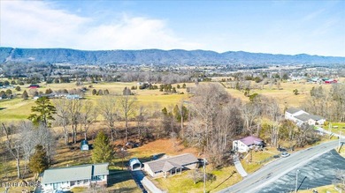 Welcome home to this well-maintained three-bedroom, two-bath - photo 6