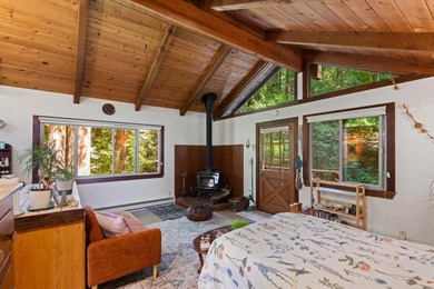 A private road and paved, circular driveway lead to this custom - photo 25
