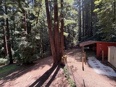 A private road and paved, circular driveway lead to this custom - photo 31