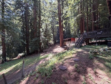 A private road and paved, circular driveway lead to this custom - photo 32