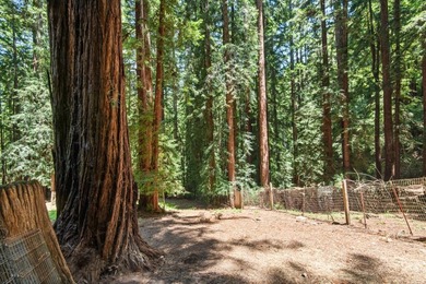 A private road and paved, circular driveway lead to this custom - photo 37