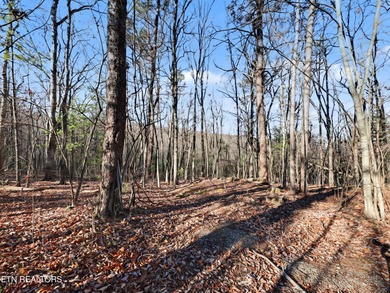 Lake in the Sky Acreage For Sale in Tallassee Tennessee