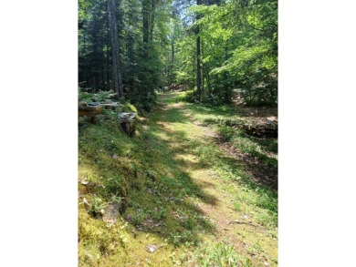 Looking for privacy and a spectacular location for a true - photo 7