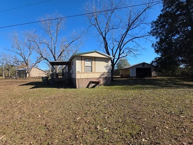 Lake Eufaula / Walter F. George Home For Sale in Georgetown Georgia