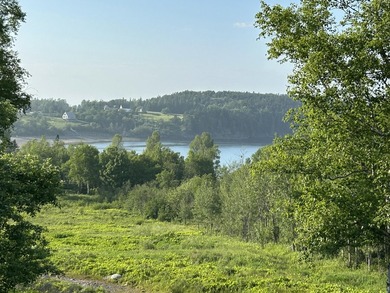 This lot offers 2.78 acres of gently rolling, open space in the - photo 3