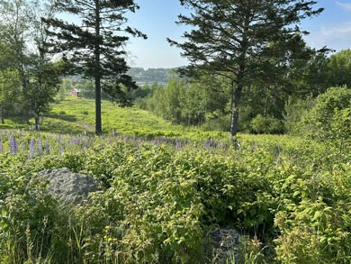This lot offers 2.78 acres of gently rolling, open space in the - photo 4
