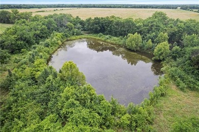 Finding a completely remodeled home on 9.1 acres with a 30' x - photo 4