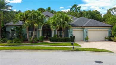 (private lake, pond, creek) Home For Sale in Odessa Florida