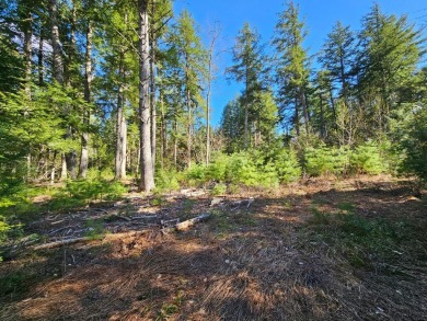 Lake Acreage For Sale in Denmark, Maine