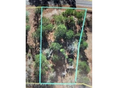 Lake Lot Sale Pending in Harrells, North Carolina