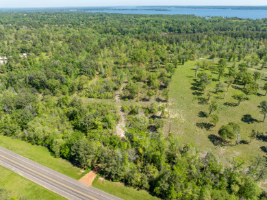 22.38 Private, Wooded, Waterfront Acres on Lake Palestine! - photo 16