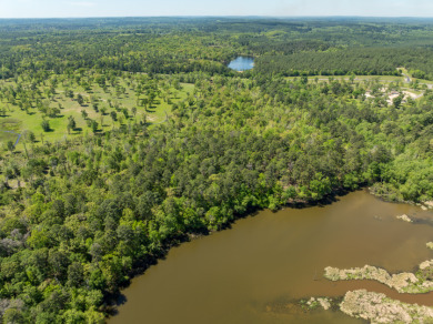 22.38 Private, Wooded, Waterfront Acres on Lake Palestine! - photo 3