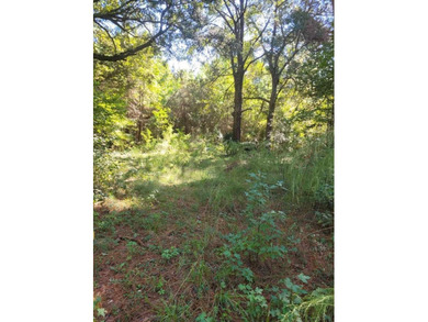 Welcome to your perfect opportunity to build your dream home in - photo 1
