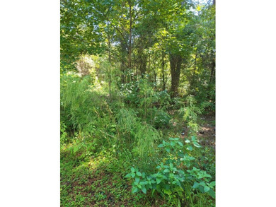 Welcome to your perfect opportunity to build your dream home in - photo 2
