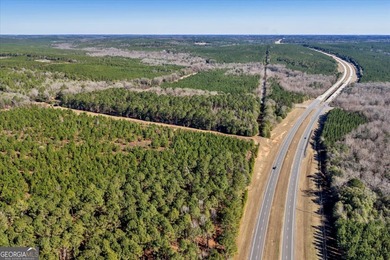 3,061 Acres on the Flint River - Exceptional Sporting, Timber - photo 11