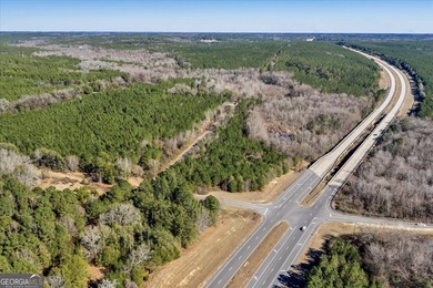 3,061 Acres on the Flint River - Exceptional Sporting, Timber - photo 12