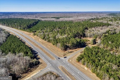 3,061 Acres on the Flint River - Exceptional Sporting, Timber - photo 13