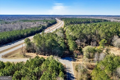 3,061 Acres on the Flint River - Exceptional Sporting, Timber - photo 14