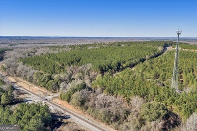3,061 Acres on the Flint River - Exceptional Sporting, Timber - photo 15