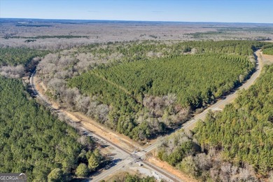 3,061 Acres on the Flint River - Exceptional Sporting, Timber - photo 16