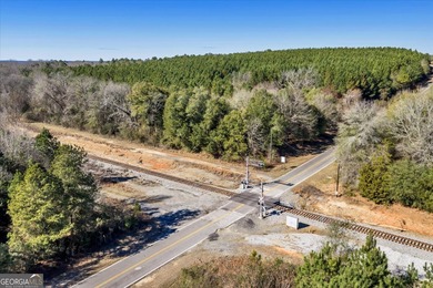 3,061 Acres on the Flint River - Exceptional Sporting, Timber - photo 17