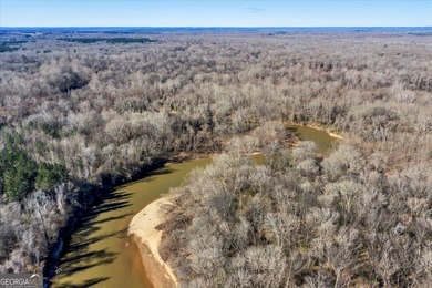 3,061 Acres on the Flint River - Exceptional Sporting, Timber - photo 18