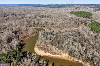3,061 Acres on the Flint River - Exceptional Sporting, Timber - photo 19