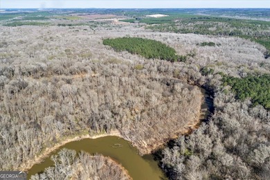 3,061 Acres on the Flint River - Exceptional Sporting, Timber - photo 20