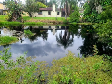 Lake Home Sale Pending in Lutz, Florida
