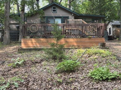 Lake Home For Sale in Brooklyn, Michigan
