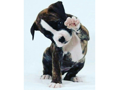 Charming 55+ community with a great location! Off of Boynton