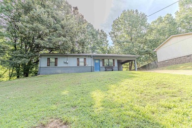 Reynolds Park Lake Home For Sale in Paragould Arkansas