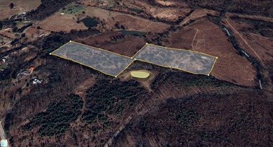 Chickamauga Lake Acreage Sale Pending in Birchwood Tennessee