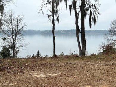 Lake Eufaula / Walter F. George Lot For Sale in Georgetown Georgia