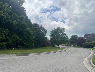 Here is your change to purchase your own Prime Building Lot in - photo 3