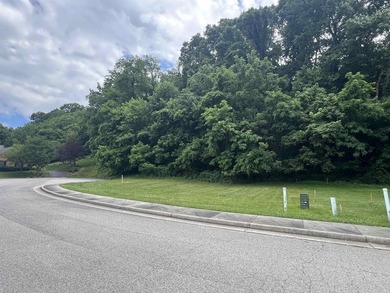 Here is your change to purchase your own Prime Building Lot in - photo 6