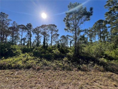 Lehigh Acres Area Lot For Sale in Lehigh Acres Florida