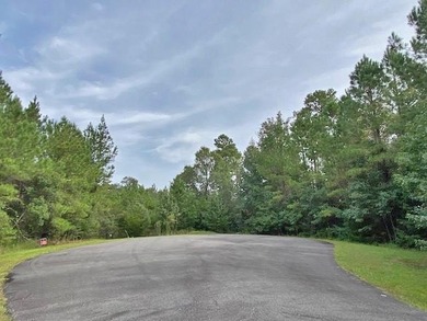 FABULOUS WATERFRONT and plenty of it with generous frontage - photo 6
