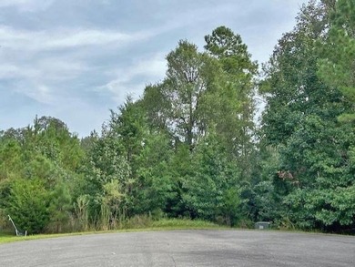 FABULOUS WATERFRONT and plenty of it with generous frontage - photo 8