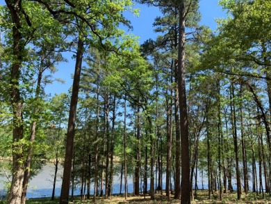 22.38 Private, Wooded, Waterfront Acres on Lake Palestine! - photo 12