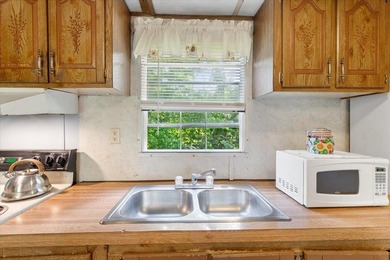This home is an affordable option as either a personal residence - photo 8