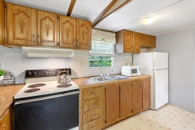 This home is an affordable option as either a personal residence - photo 9