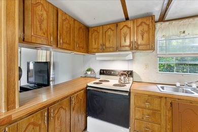 This home is an affordable option as either a personal residence - photo 10