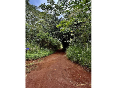 Extraordinary vacant land opportunity on Puua Kapoho Rd in Pahoa - photo 3