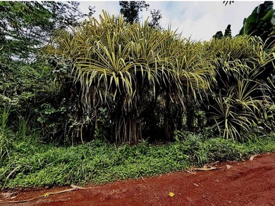 Extraordinary vacant land opportunity on Puua Kapoho Rd in Pahoa - photo 8
