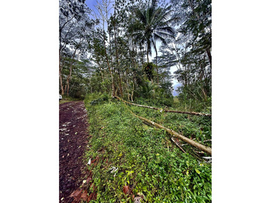 Extraordinary vacant land opportunity on Puua Kapoho Rd in Pahoa - photo 9