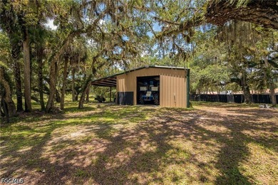 **K & P Ranch** is a rare opportunity to own one of Southwest - photo 3