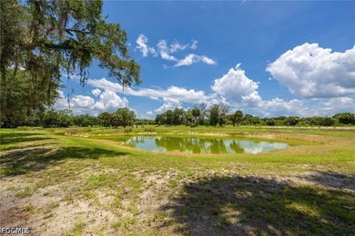 **K & P Ranch** is a rare opportunity to own one of Southwest - photo 8
